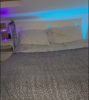 Portable Mini Projector