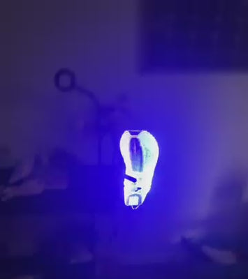 Christmas Hologram Fan